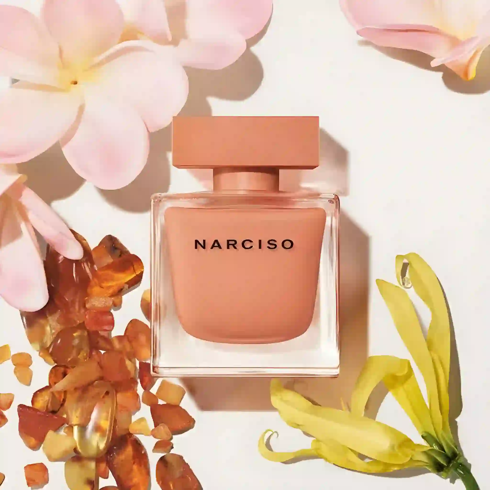 Narciso Eau de Parfum Ambrée - Hình ảnh 5