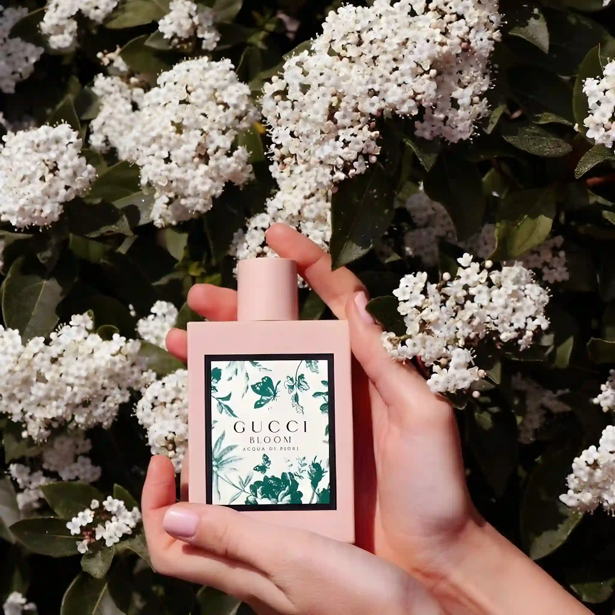 Bloom Acqua Di Fiori - Hình ảnh 4