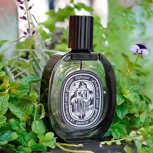 Diptyque Eau de Minthé - Hình ảnh 3