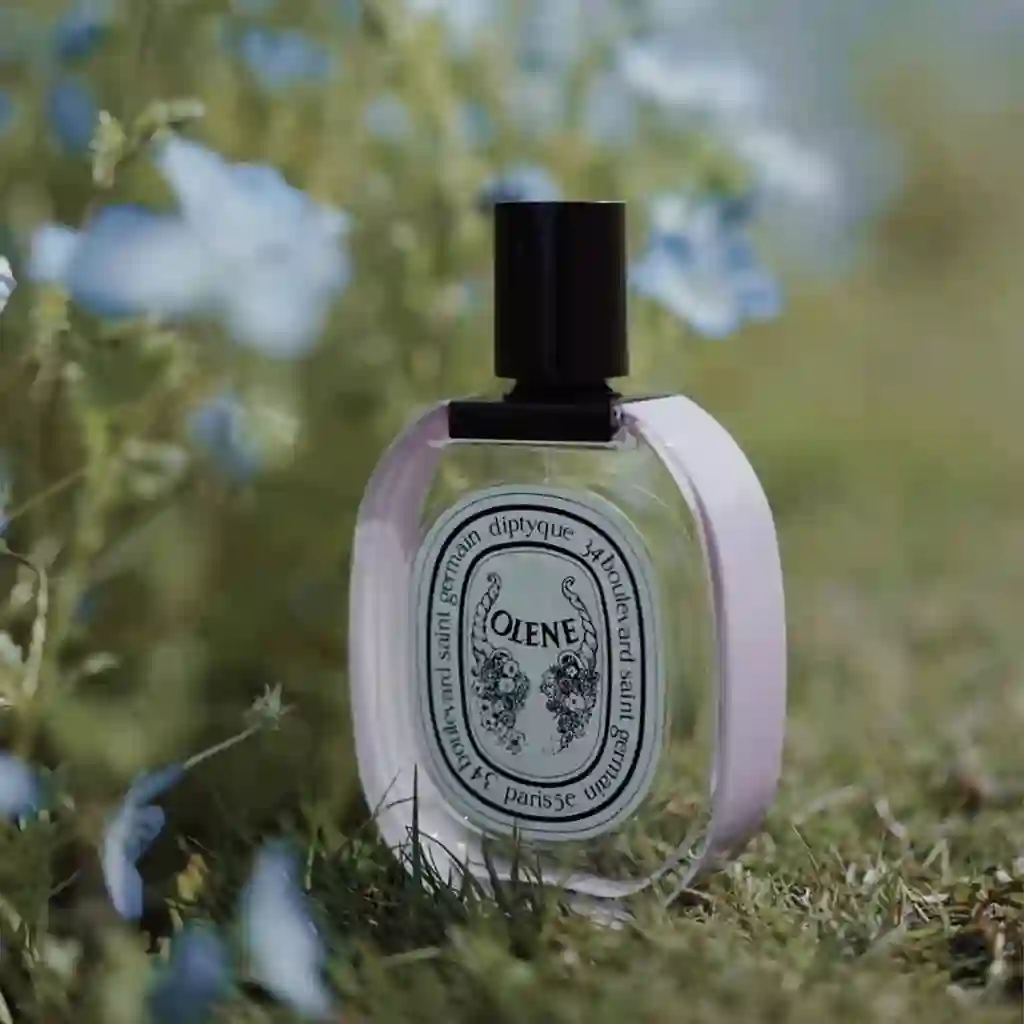 Olène - Hình ảnh 5