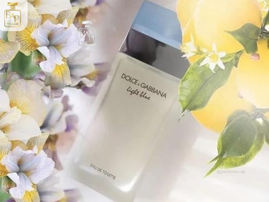 dolce-gabbana-light-blue-edt-bapperfume