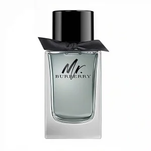 Mr Burberry EDT